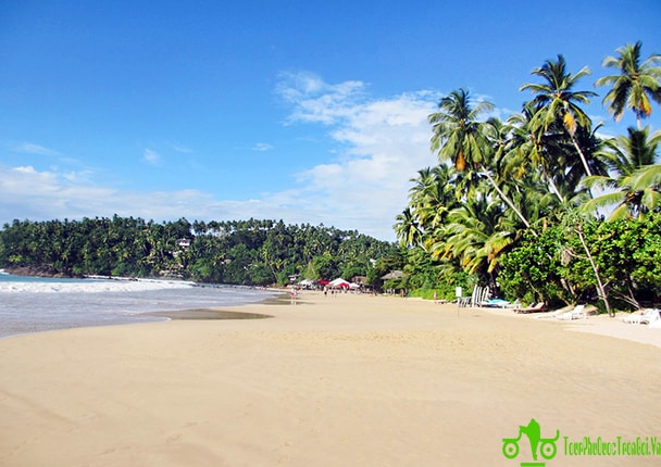 tour du lich phu quoc tron goi gia re _8865512